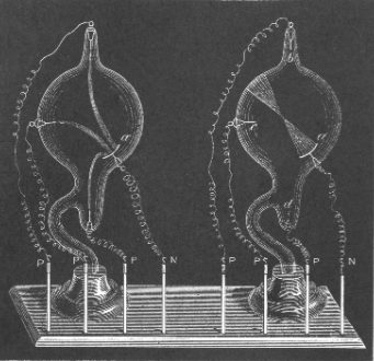 19th Century Cathode Ray Tube, William Crookes, 1879
